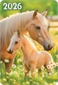 Карманный календарь 2026 "Символ года" КГ-26-175 КГ-26-175