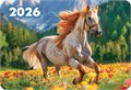 Карманный календарь 2026 "Символ года" КГ-26-192 КГ-26-192