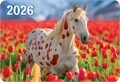 Карманный календарь 2026 "Символ года" КГ-26-193 КГ-26-193