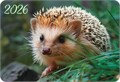 Карманный календарь 2026 "Таинственный лес" КГ-26-363 КГ-26-363