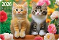 Карманный календарь 2026 "Кошки" КГ-26-338 КГ-26-338