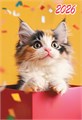 Карманный календарь 2026 "Кошки" КГ-26-015 КГ-26-015