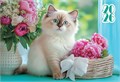 Карманный календарь 2026 "Кошки" КГ-26-014 КГ-26-014
