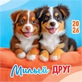 БОЛЬШОЙ перекидной настенный календарь на скрепке на 2026 год "Собаки. Милый друг" БПК-26-025 (в упаковке) БПК-26-025