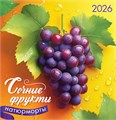 СРЕДНИЙ перекидной настенный календарь на скрепке на 2026 год "Натюрморты. Сочные фрукты" ПК-26-076 ПК-26-076