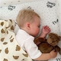 Игрушка в кроватку серии Mini Мишка DrЁma 805-SH шоколадный 805-SH-3760-3761