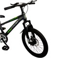 Велосипед двухколесный 20" WILLPOWER тёмно - серый FG240528004L-1 357-833