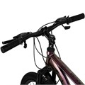 Велосипед двухколесный 26" WILLPOWER фиолетовый, 21 скорость FG240528058L-4 357-840