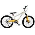 Велосипед двухколесный 22" WILLPOWER коричневый FG240528151L-5 357-634