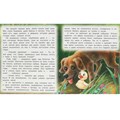 Книга Умка 9785506094579 Гадкий утёнок. Андерсен Г. Х. Любимые детские книжки 502-868
