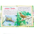 Книга Умка 9785506097556 Сказки и рассказы о животных. Читаем сами по слогам 502-585