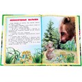 Книга Умка 9785506097556 Сказки и рассказы о животных. Читаем сами по слогам 502-585