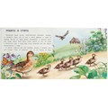 Книга Умка 9785506096405 Кот. Пришвин М. М. Рассказы о животных 402-995