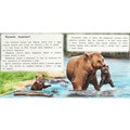 Книга Умка 9785506096399 Хитрый Лис и Умная Уточка. Бианки В. В. Рассказы о животных 501-034