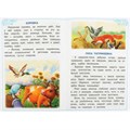 Книга Умка 9785506090090 Сказки о животных. Ушинский К.Д. Сказки и стихи малышам 501-026