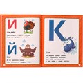 Книга Умка 9785506072881 Азбука из зоопарка. Азбука с крупными буквами. В. А. Степанов /16/ 202-814