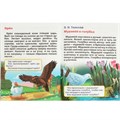Книга Умка 9785506015574 Первое чтение.Жукова.Брошюра 685-195