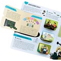 Книга с окошками 9785001349259 Откуда берутся деньги? 502-532