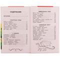 Книга Умка 9785506070665 Огненный бог Марранов.А.Волков.Внеклассное чтение 202-431