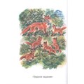 Книга 978-5-353-10133-8 Скребицкий Г. Рассказы о природе (ВЧ) 202-249