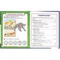 Книга Умка 9785506091219 Полный годовой курс. 3-4 года. М. А. Жукова 402-245