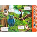 Книга Умка 9785506101420 Кто живёт в лесу? Степанов В.А. 10 кнопок волна 602-040