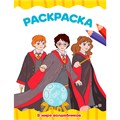 Раскраска 978-5-378-35382-8 В МИРЕ ВОЛШЕБНИКОВ 601-241