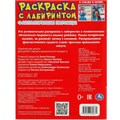Раскраска 9785506080671 Фантастические питомцы. Раскраска Лабиринт 16 картинок /50/ 301-995