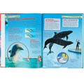 Книга 978-5-353-05767-3 Киты и дельфины.Детская энциклопедия 185-545