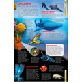 Книга 978-5-353-05846-5 Планета Земля.Детская энциклопедия 285-471