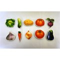 Игрушка развивающая Набор Овощи 10 шт. 009.05 318-827