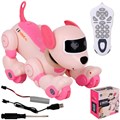 Собака на радиоуправлении BG1536 розовый в кор. 126-866