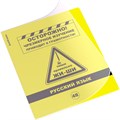 Тетрадь 48 л. линейка Be Informed, Русский язык 59480 ErichKrause 898-346