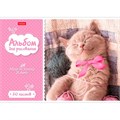 Альбом для рисования. 20 л. А4 Котята 004023 Hatber 191-317