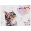 Альбом для рисования 10 л. А4 Любопытный носик 10А4лтAк_33330 Hatber 897-756