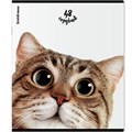 Тетрадь 48 л. клетка Котики ErichKrause 60607 898-323