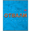 Тетрадь 48 л. А5ф клетка Пластилин 48Т5тВ1 893-501