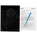 Набор для творчества Скретчинг 18*24 см Животные "Мальтипу" Гр-741 978-429