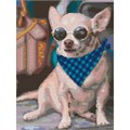 Набор для творчества Алмазная мозаика 30*40 см Стильный чихуахуа Ам-167 LORI 989-795
