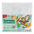 Набор для творчества Картина по номерам на холсте 20*20 см Сноубордист Рхд-042 Lori 995-227