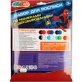 Набор для творчества Холст для росписи Multiart Спайдер МУЛЬТИ АРТ CANV17X23D-091887 989-268