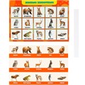 Игра Умка Лесные животные. Развивающие липучки-лото 4660254430501 934-948