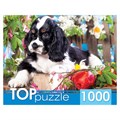 Пазл 1000 Щенок спаниеля в саду ГИТП1000-2143 733-893