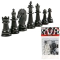 Шахматы 4630115527411 934-772