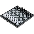 Шахматы магнитные Сказочный патруль ZY501598-R1 832-259