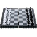 Шахматы магнитные Сказочный патруль ZY501598-R1 832-259