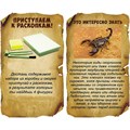 Набор Исторические раскопки Науки с Буки BONDIBON Насекомые 510231-3/471632 810-423