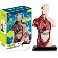 Строение тела Гигант,анатомия человека,NEW модель 287-247