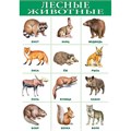 Плакат Лесные животные 1919 611-915
