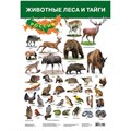 Плакат Животные России-2 Красная книга 2987 611-913